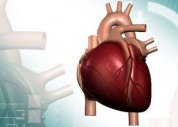 Aumento do nível de colesterol bom diminui risco de infarto e derrame