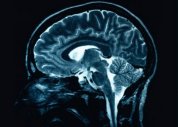 Cientista tenta explicar como nosso cérebro “entende” Deus