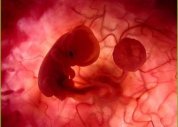 Cristãos criticam decisão de CFM em apoiar aborto até 12ª semana de gestação