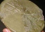 Placa de 700 a.C. traz relato de destruição de Sodoma e Gomorra