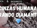 A transformação de restos humanos em diamantes: uma análise à luz da bioética, do biodireito, da escatologia bíblica e da teologia cristã