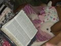 Saiba pelo pastor Josué Brandão como é o homem que Deus procura