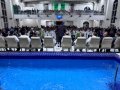 Assembleia de Deus em Maceió já batizou 933 novos membros em 2024