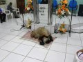 Peça teatral comove igreja no culto de Missões