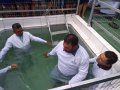 Pr. Israel Santos batiza 31 novos membros da Assembleia de Deus em Minador do Negrão