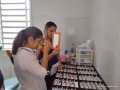 Conheça os serviços oferecidos pelo CAEMON aos seus associados