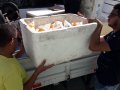 Conheça os serviços oferecidos pelo CAEMON aos seus associados