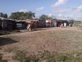 Comunidade recebe a Palavra de Deus e donativos no Village Campestre