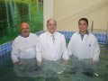 Grande batismo em Teotônio Vilela contempla 51 candidatos