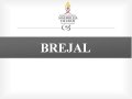 Pastor-presidente apresenta a prestação de contas do ano de 2017