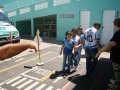 Alunos do Coparb aprendem ações de educação para o trânsito