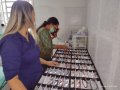 Conheça os serviços oferecidos pelo CAEMON aos seus associados