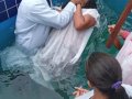 Pr. Israel Santos batiza 12 novos membros da Assembleia de Deus em Tanque D’Arca