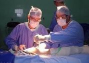 Primeiro coração artificial brasileiro será implantado em humanos