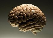 Mudança no estilo de vida pode prevenir 50% dos casos de Alzheimer